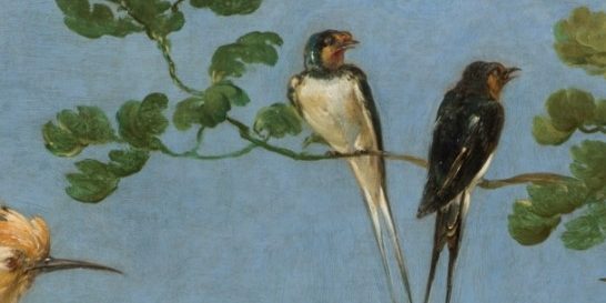 Snyders-Concierto de aves-frag